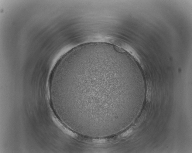 X0000062931080200601181304