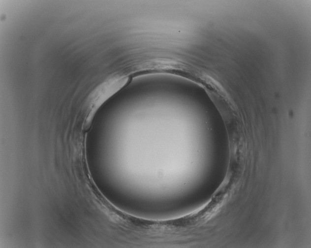 X0000062931081200601181304