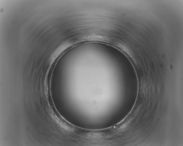 X0000062931082200601181304