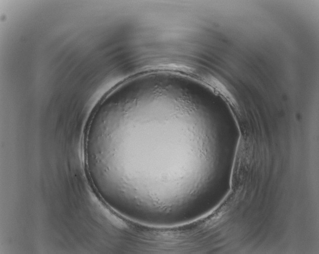 X0000062931084200601181303