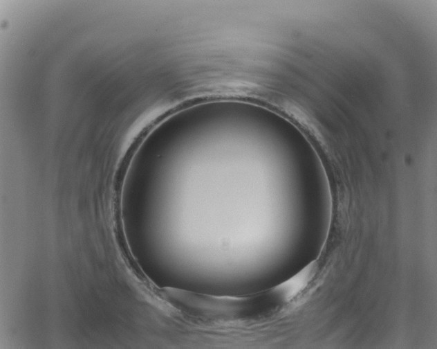 X0000062931085200601181303