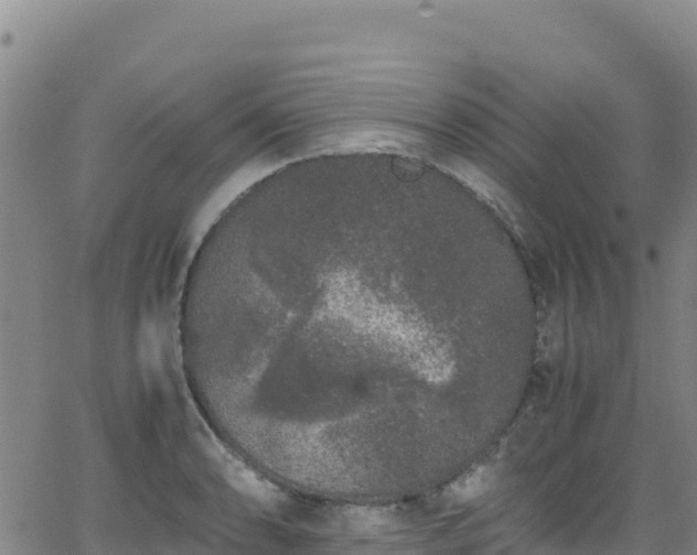 X0000062931086200601181303