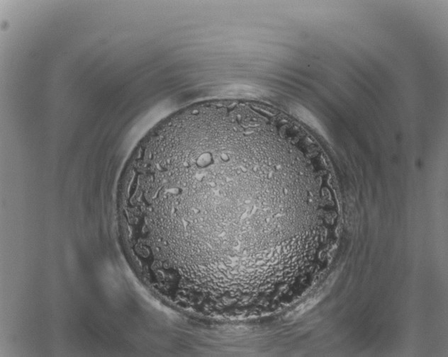 X0000062931087200601181303