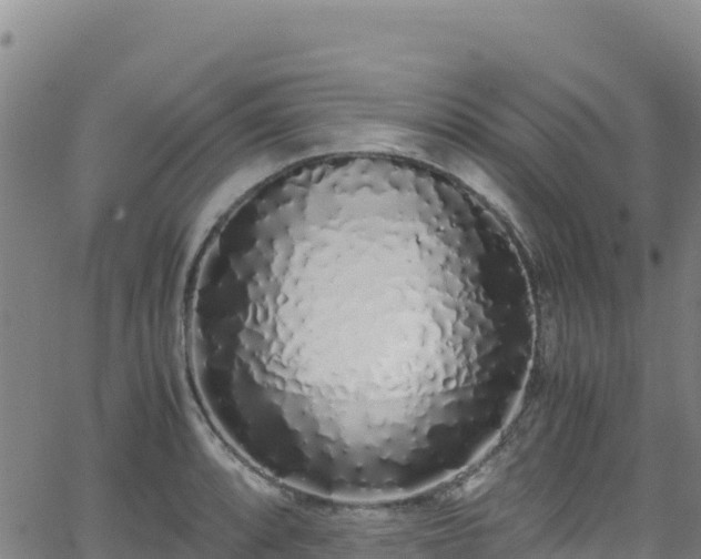 X0000062931088200601181303