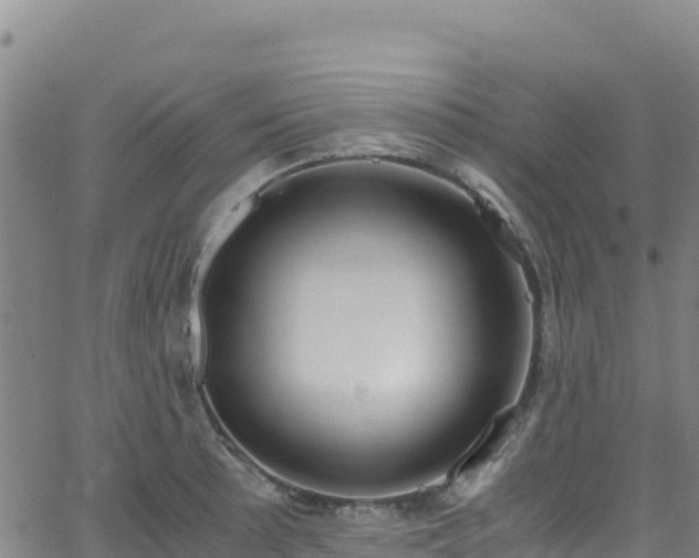 X0000062931089200601181303