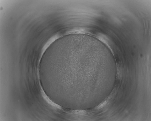 X0000062931090200601181303