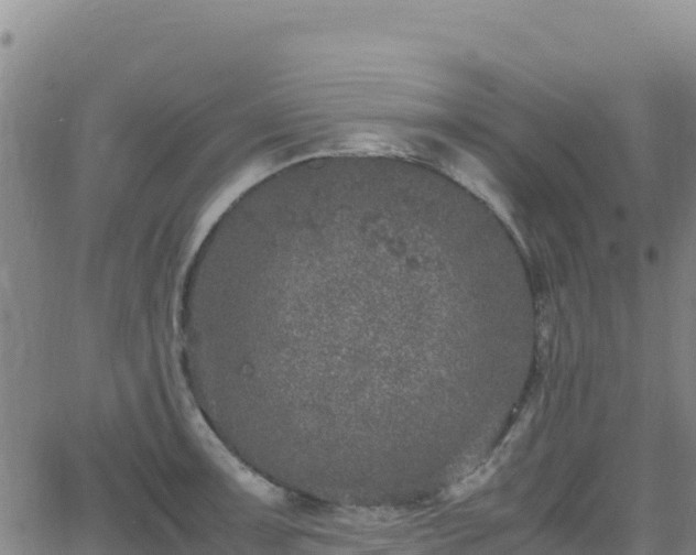 X0000062931091200601181303