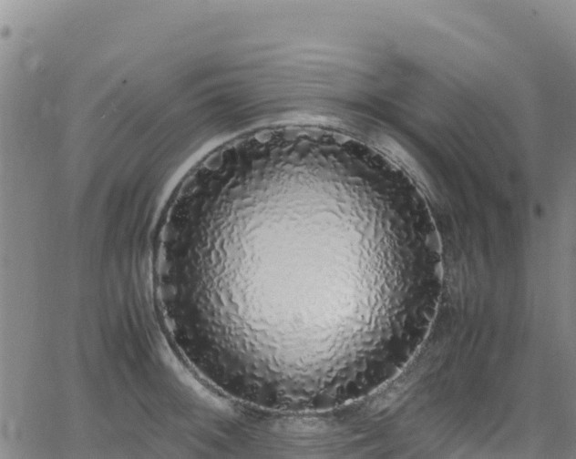 X0000062931092200601181303