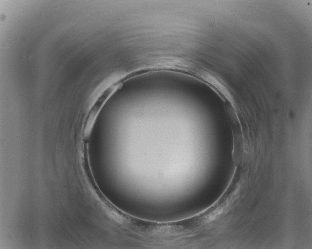 X0000062931093200601181303