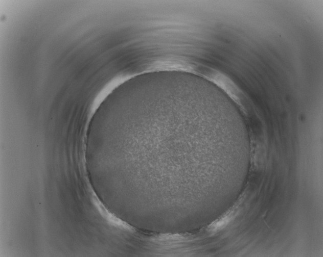 X0000062931094200601181303