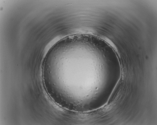 X0000062931096200601181303