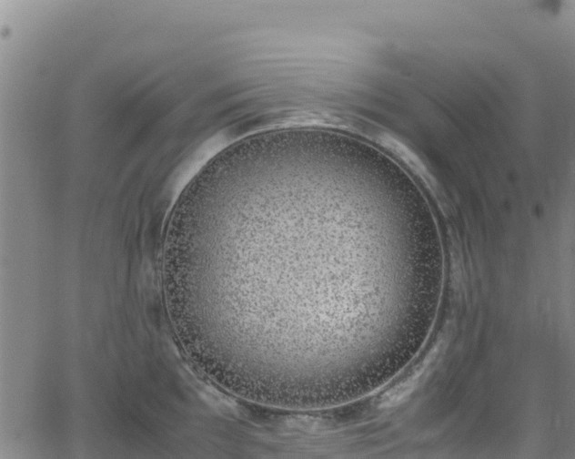 X0000062931097200601181303