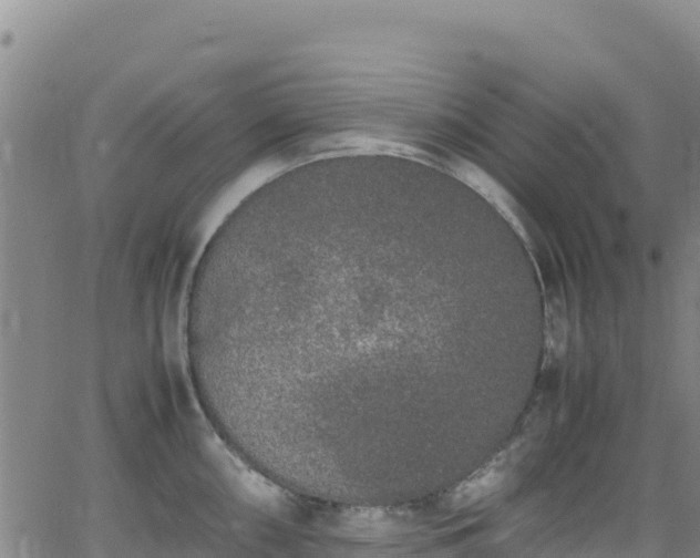 X0000062931098200601181303