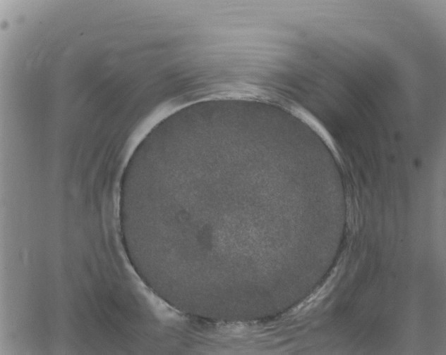 X0000062931099200601181303