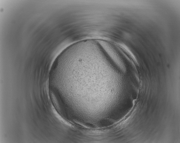 X0000062931100200601181303