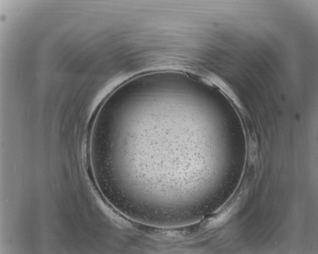 X0000062931101200601181303