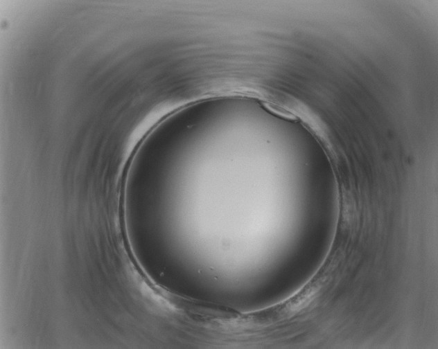 X0000062931102200601181303