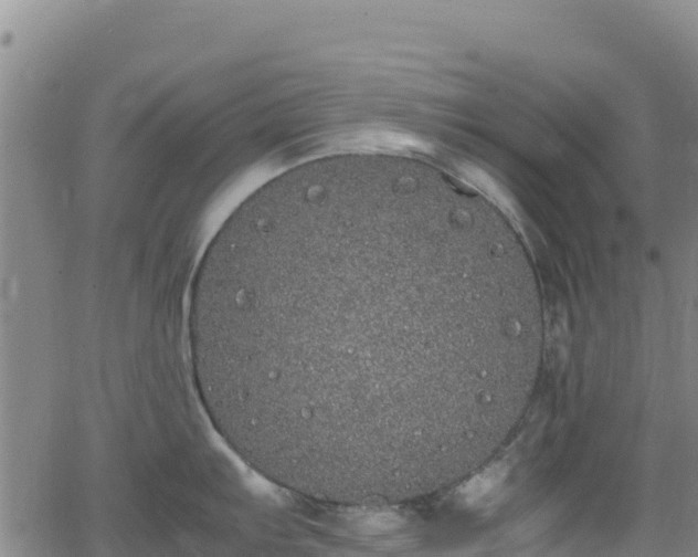 X0000062931103200601181303