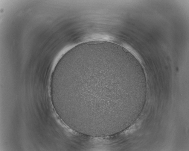 X0000062931104200601181303