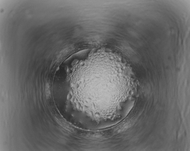 X0000062931106200601181302