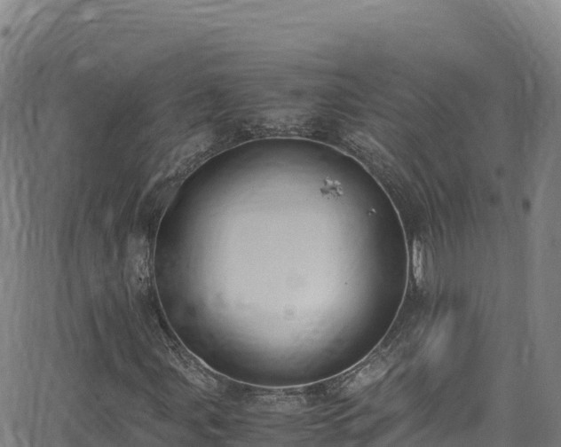 X0000062931107200601181302