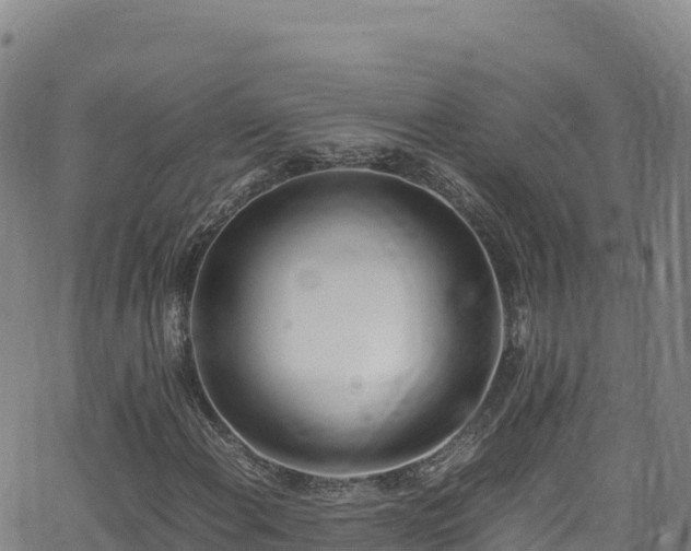 X0000062931108200601181302