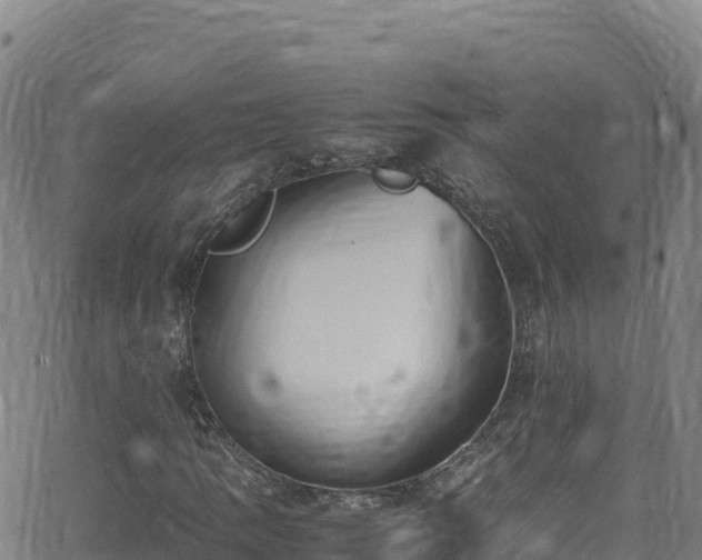 X0000062931109200601181302