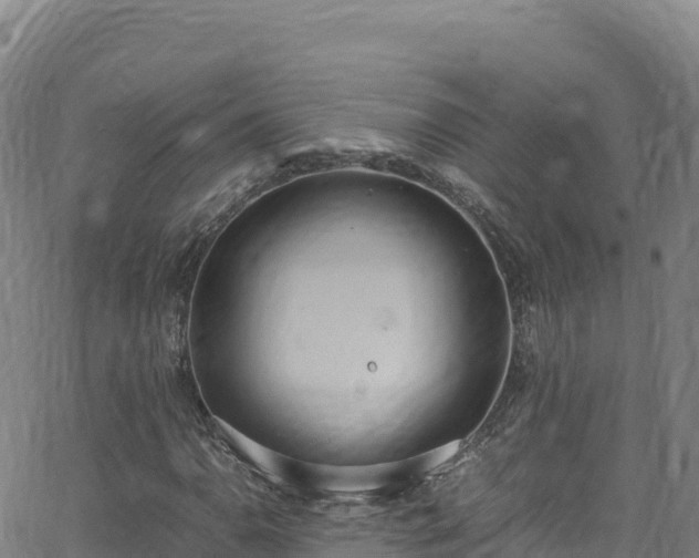 X0000062931110200601181302