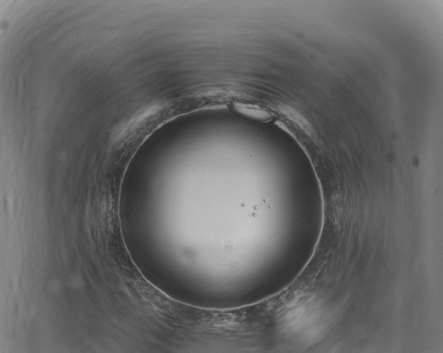 X0000062931111200601181302