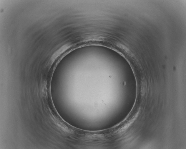 X0000062931113200601181302