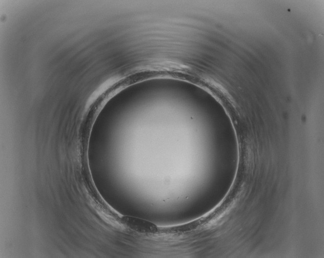 X0000062931114200601181303