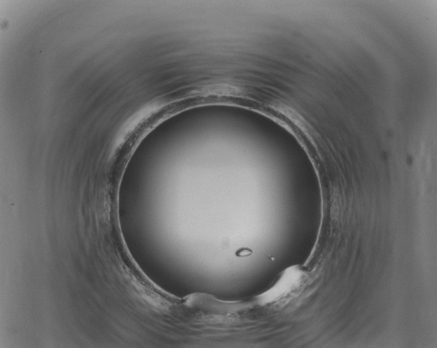 X0000062931115200601181303