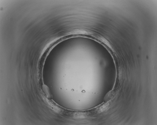 X0000062931116200601181303