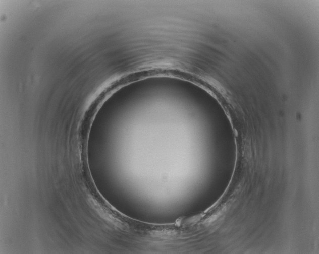 X0000062931118200601181303