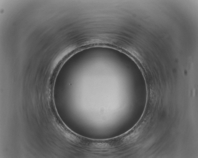 X0000062931119200601181303