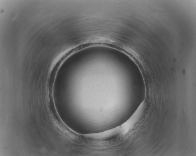 X0000062931120200601181303