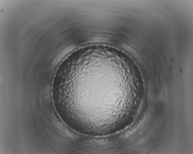 X0000062931121200601181303