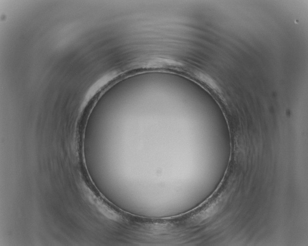 X0000062931122200601181303