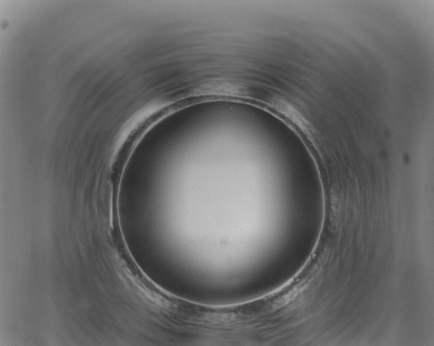 X0000062931123200601181303