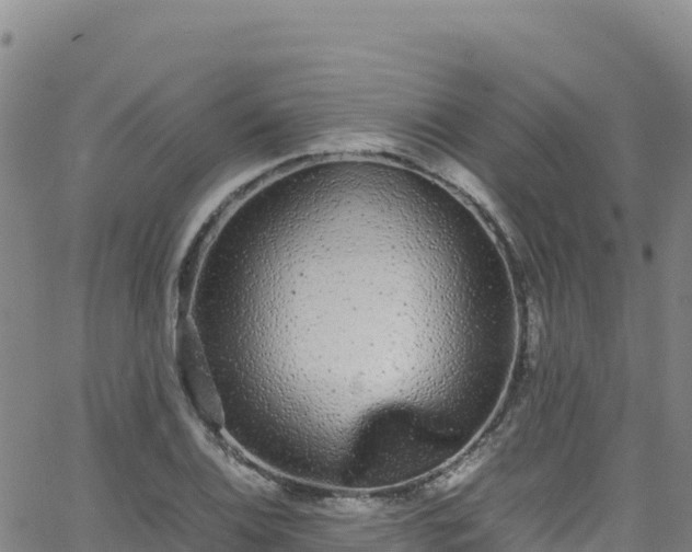 X0000062931124200601181303