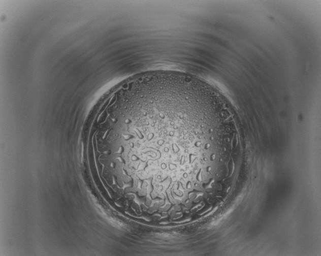 X0000062931125200601181303