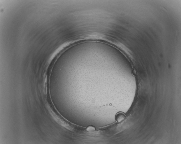 X0000062931126200601181303