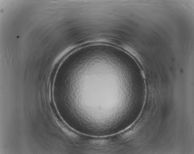 X0000062931127200601181303