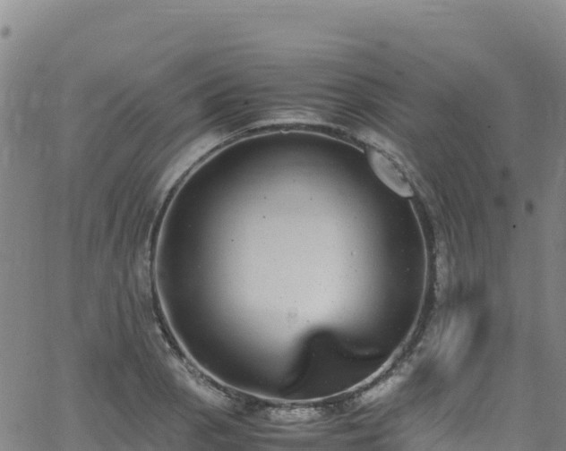 X0000062931129200601181303