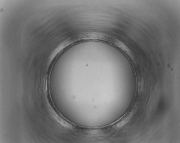 X0000062931130200601181303