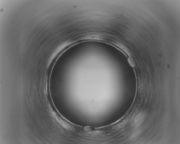 X0000062931131200601181303