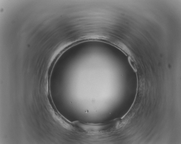 X0000062931132200601181303