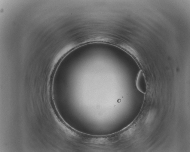 X0000062931135200601181303