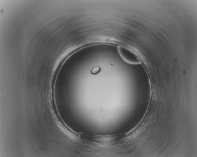 X0000062931136200601181303