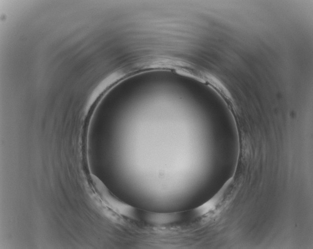 X0000062931138200601181303